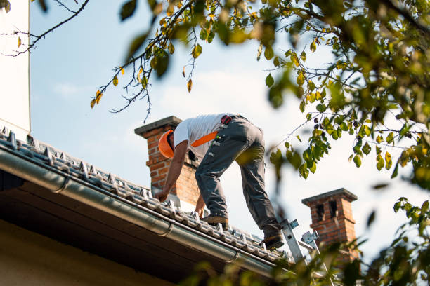 Best Chimney Flashing Repair  in Roslyn, PA