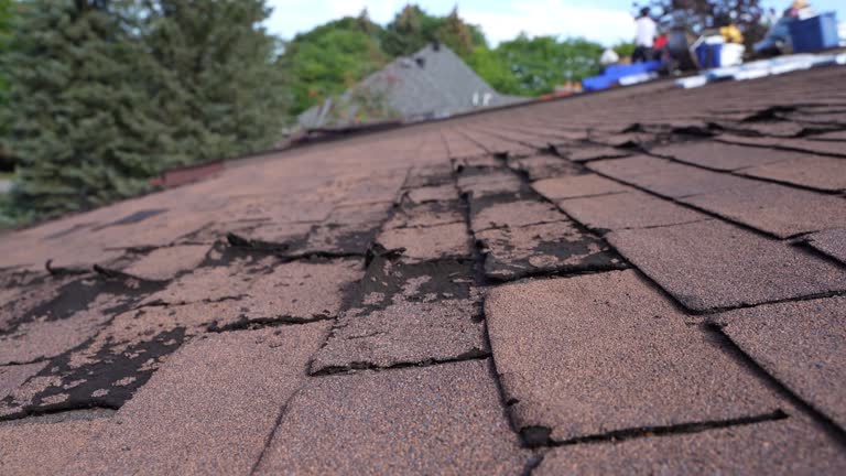 Best Asphalt Shingle Roofing  in Roslyn, PA